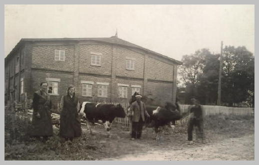 Folwark w Ziębach na początku XX wieku. Źródło: www.natangen.de