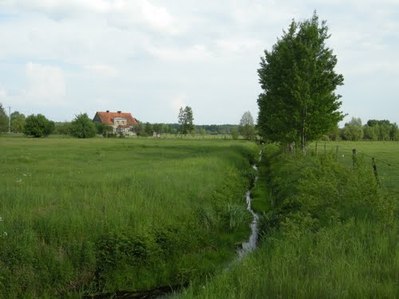 Plik:Borki Rozowskie.jpg