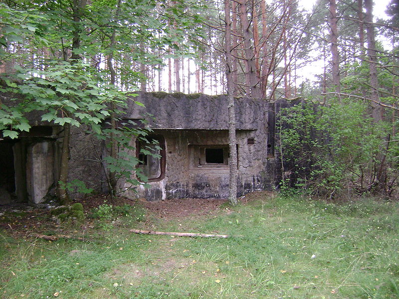 Plik:Czarny Piec. Pozostałości bunkra.jpg