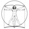 Plik:Logo wns.jpg