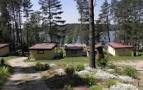 Plik:Borowski Las.jpg