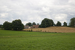 Markowskie Fot. Honza Groh. Źródło: File:Markowskie, 09.jpg – Wikimedia Commons [09.09.2026]