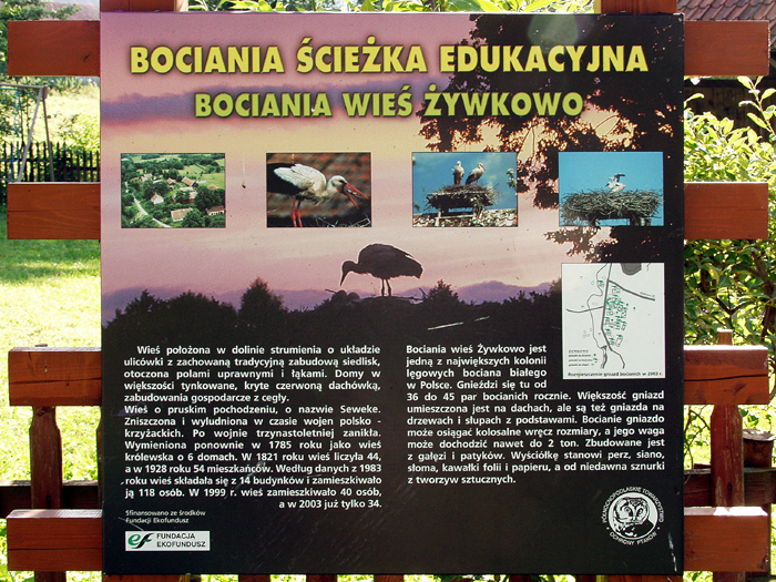 Plik:Zy2.jpg