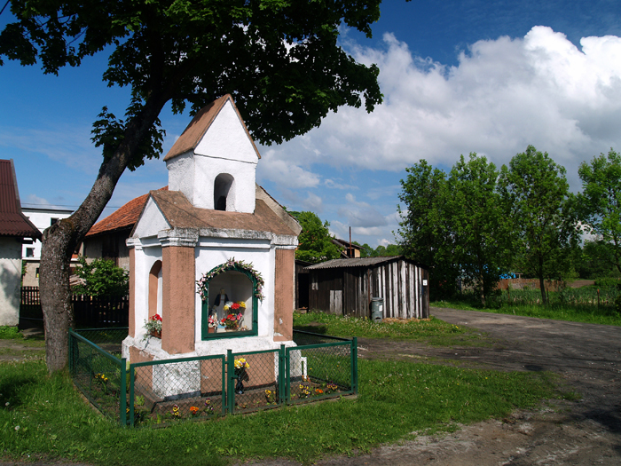 Plik:Ste2.jpg