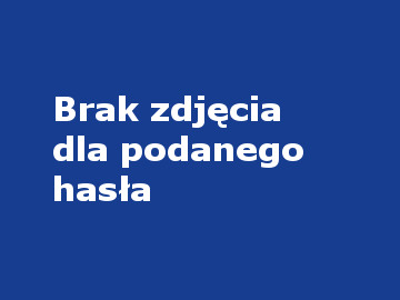 Plik:Brak-Zdjecia-inwersja.jpg