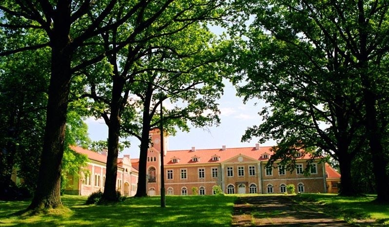 Plik:Pałac w Dobrocinie..jpg
