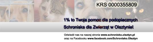 Plik:Krszwierzyniec.jpg