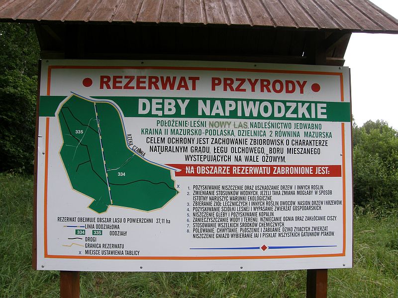 Plik:Deby napiwodzkie.jpeg