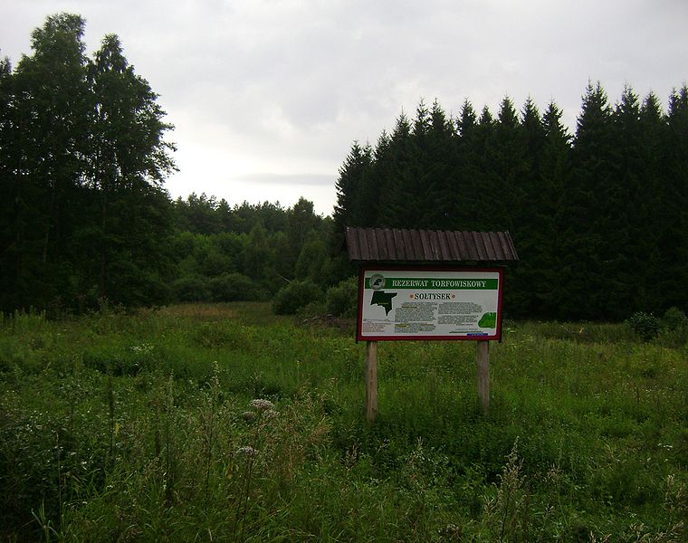 Plik:Poland Gmina Pasym Forests 005.jpg