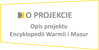 Plik:OProjekcie.png