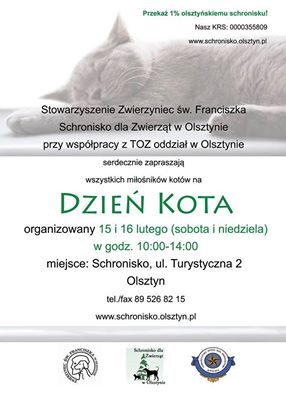 Plik:Dzienkota.jpg