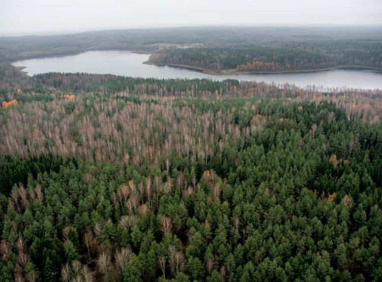 Plik:Jezioro Gołdap.jpg