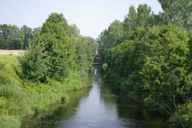 Węgorapa. Fot. Janericloebe. Źródło: Commons Wikimedia
