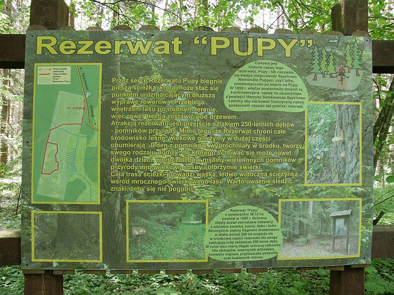 Plik:Rezerwat pupy tablica.jpeg