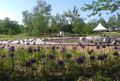 Miniatura wersji z 10:08, 29 maj 2015