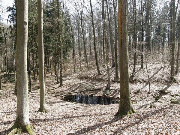 Bezodpływowe zagłębienie terenowe w rezerwacie. Fot. Dariusz Kubiak.