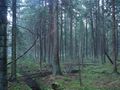 Miniatura wersji z 13:55, 31 sty 2015