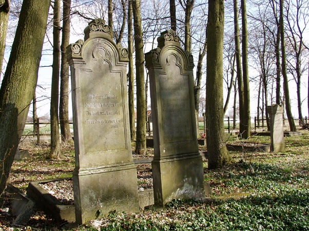 Cmentarz mennonicki w Wikrowie. Fot. Stanisław Kuprjaniuk
