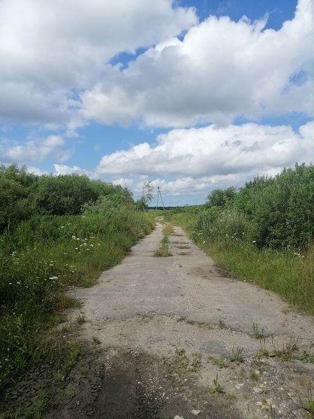 Plik:Malinowo 2.jpg
