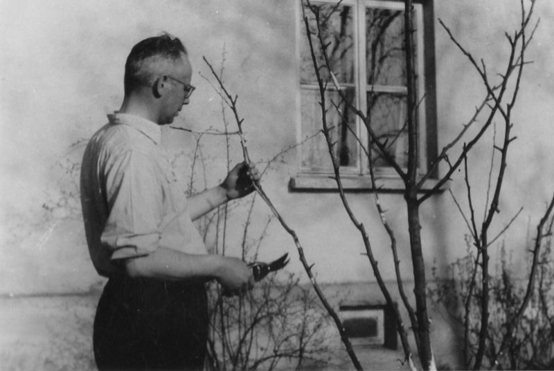 Plik:Aleksander niedbalski2.jpg