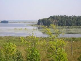 Jezioro Oświn. Fot. Eume. Źródło: commons.wikimedia.org