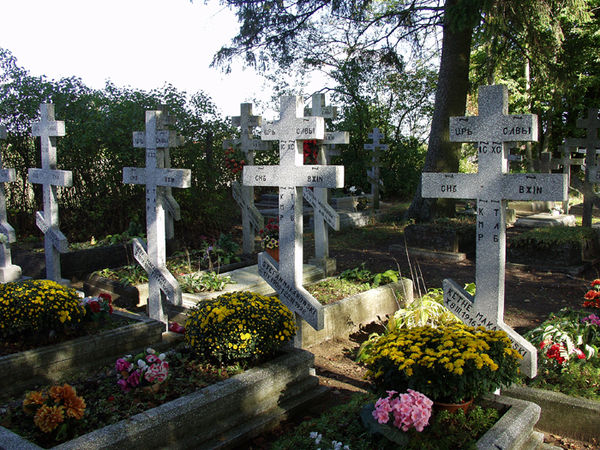 Cmentarz starowierski w Gałkowie. Fot. Stanisław Kuprjaniuk
