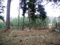 Miniatura wersji z 22:40, 16 mar 2014