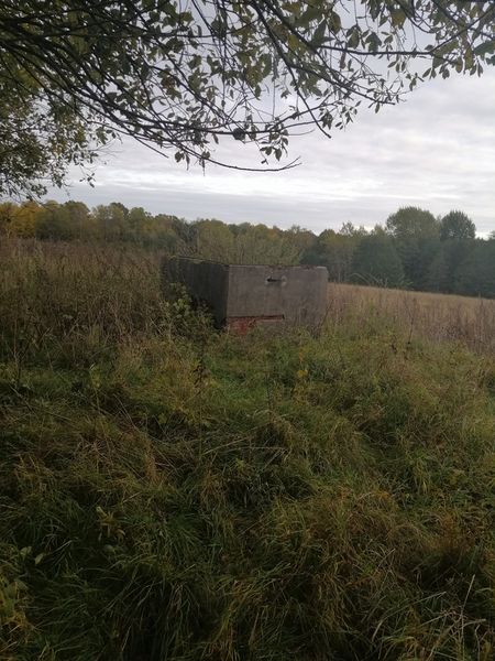 Plik:Kudyny ruiny 1.jpg