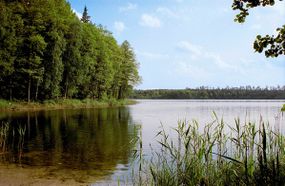 Widok z brzegu na jezioro Jegocin. Źródło: www.nadjeziorami.com