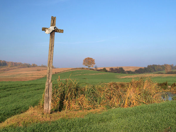 Krzyż drewniany w Brąswałdzie. Fot. Stanisław Kuprjaniuk