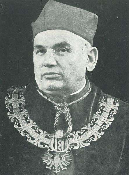 Plik:Prof wanic.jpg
