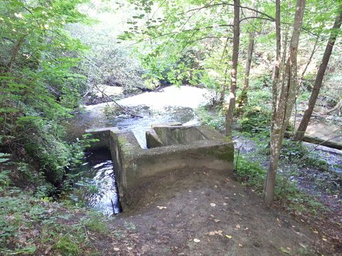 Pozostałości układu hydrotechnicznego. Źródło: www.forum.kowale.com.pl/