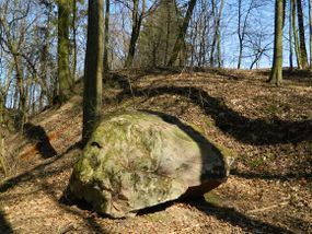 Głaz narzutowy w leśnictwie Złoty Potok ©Alicja Szarzyńska