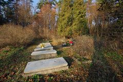 Cmentarz we wsi Borowe. Fot. Mieczysław Kalski