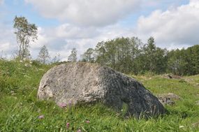 Głaz narzutowy (2) w Białych Jeziorkach © Alicja Szarzyńska