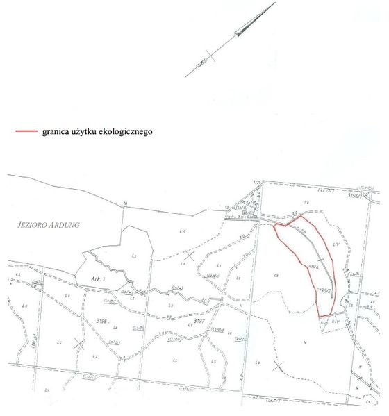 Plik:Klasztorne.jpg