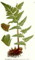 Miniatura wersji z 22:26, 24 sty 2015