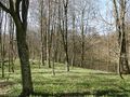 Miniatura wersji z 21:14, 24 sty 2015
