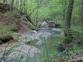 Miniatura wersji z 14:33, 25 sty 2015