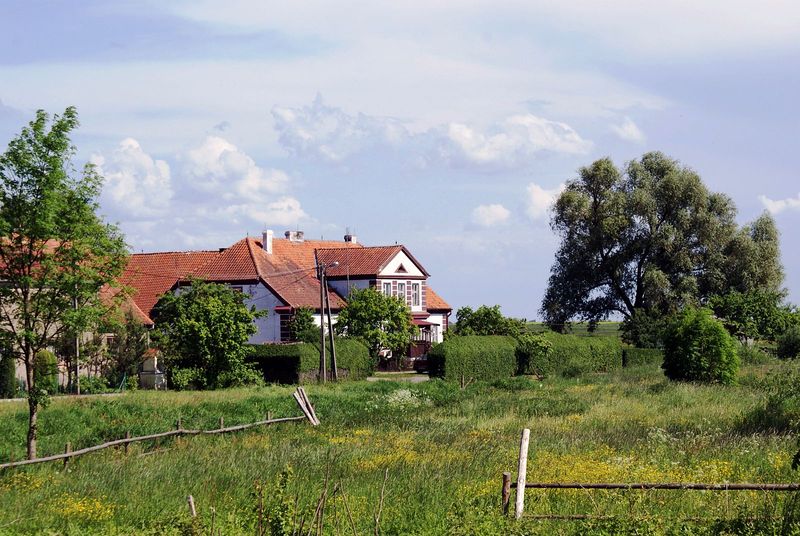 Plik:Lwowiec.jpg