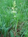 Miniatura wersji z 13:55, 31 sty 2015