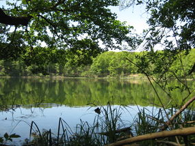 Widok z brzegu Fot. Awersowy. Źródło: Commons Wikimedia