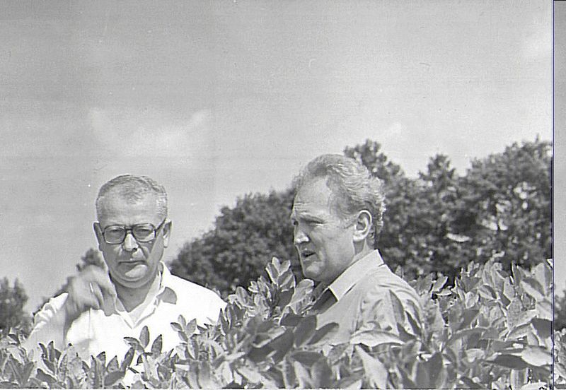 Plik:Wieslaw kulesza3.jpg