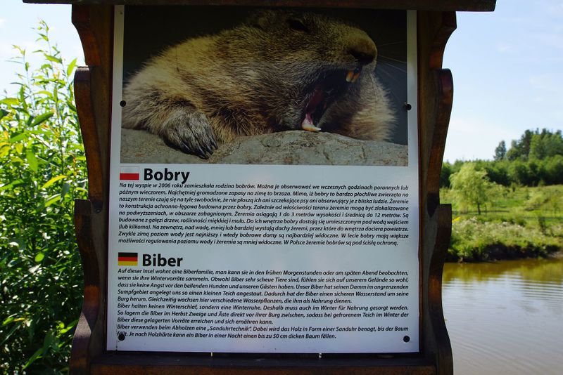 Plik:Bobry.jpg