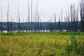 Widok z brzegu. Fot. Mieczysław Kalski