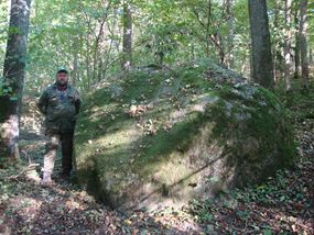 Głaz narzutowy "Diabelski Kamień" koło Sarnik © Alicja Szarzyńska