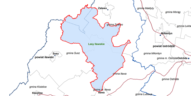 Lasy Iławskie