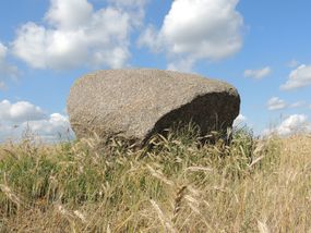 Głaz narzutowy koło Rychnowa © Alicja Szarzyńska