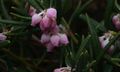 Miniatura wersji z 13:56, 31 sty 2015