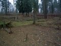 Miniatura wersji z 21:14, 24 sty 2015